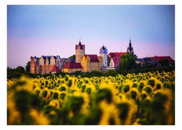 Bernburg (Saale) - Bilder einer Stadt (B-Ware) – Bild 9