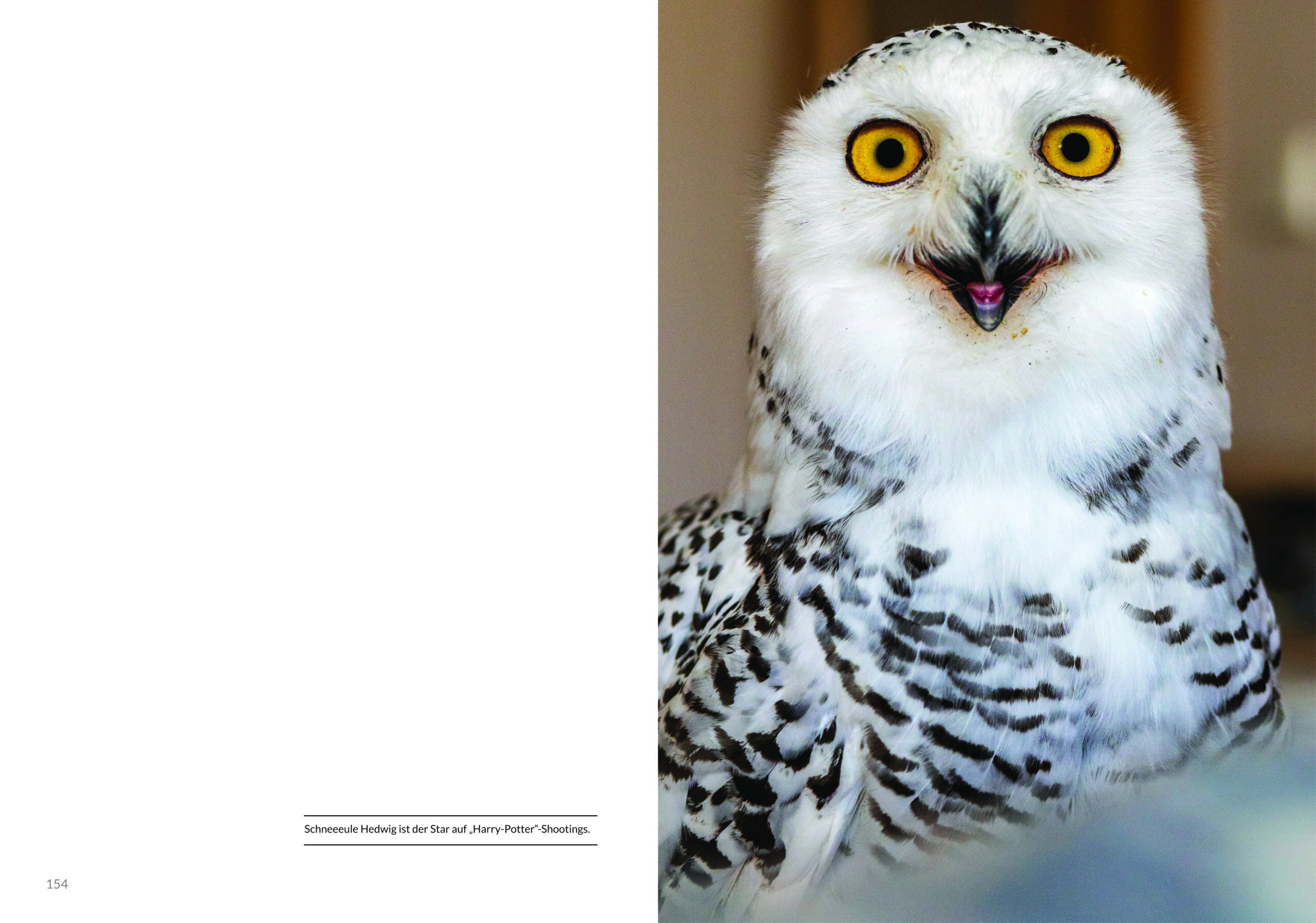 Facettenreiches Bernburg - 15 Portraits außergewöhnlicher Menschen – Bild 11