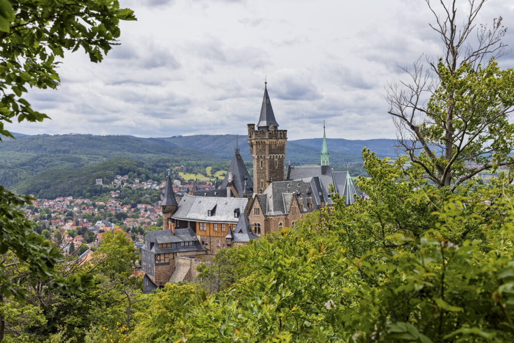 1:1 Fotografie Workshop & Beratung – Individueller Einzelworkshop mit Thomas Engst