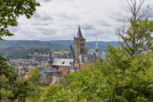 Einzelcoaching zu eurem Wunschthema