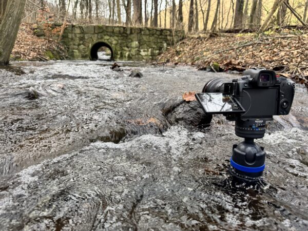 Fototraining - Grundlagen III – Bildkomposition, die wirkt