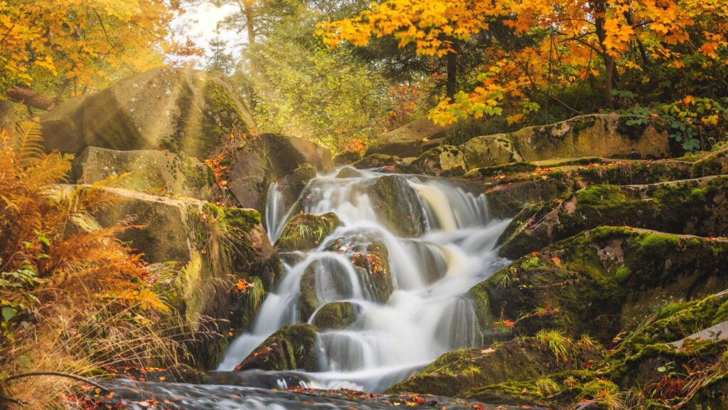 Harz 2026: Wasserfälle im llsetal