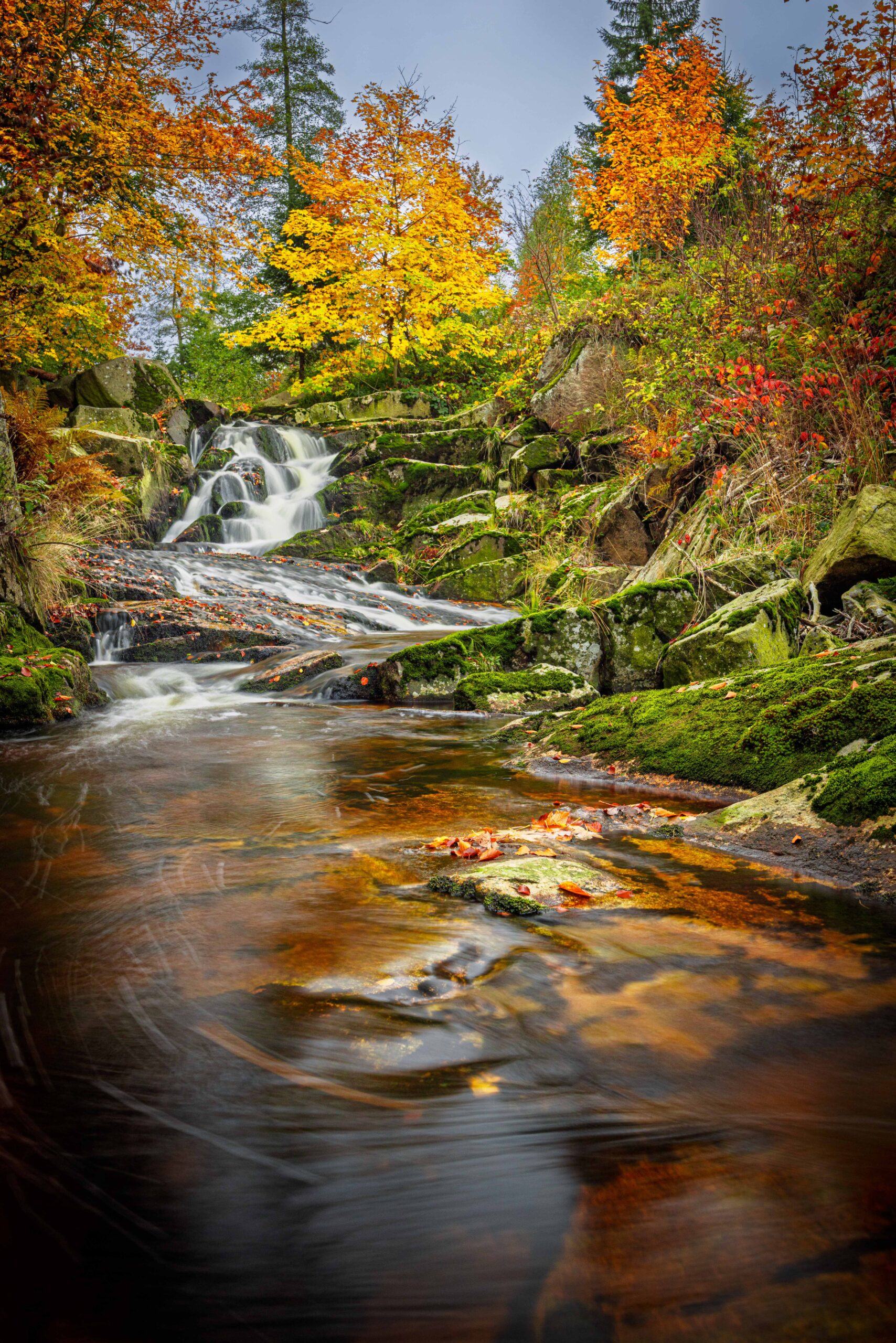 Harz – 18.10.2026: Wasserfälle im lsetal – Bild 5