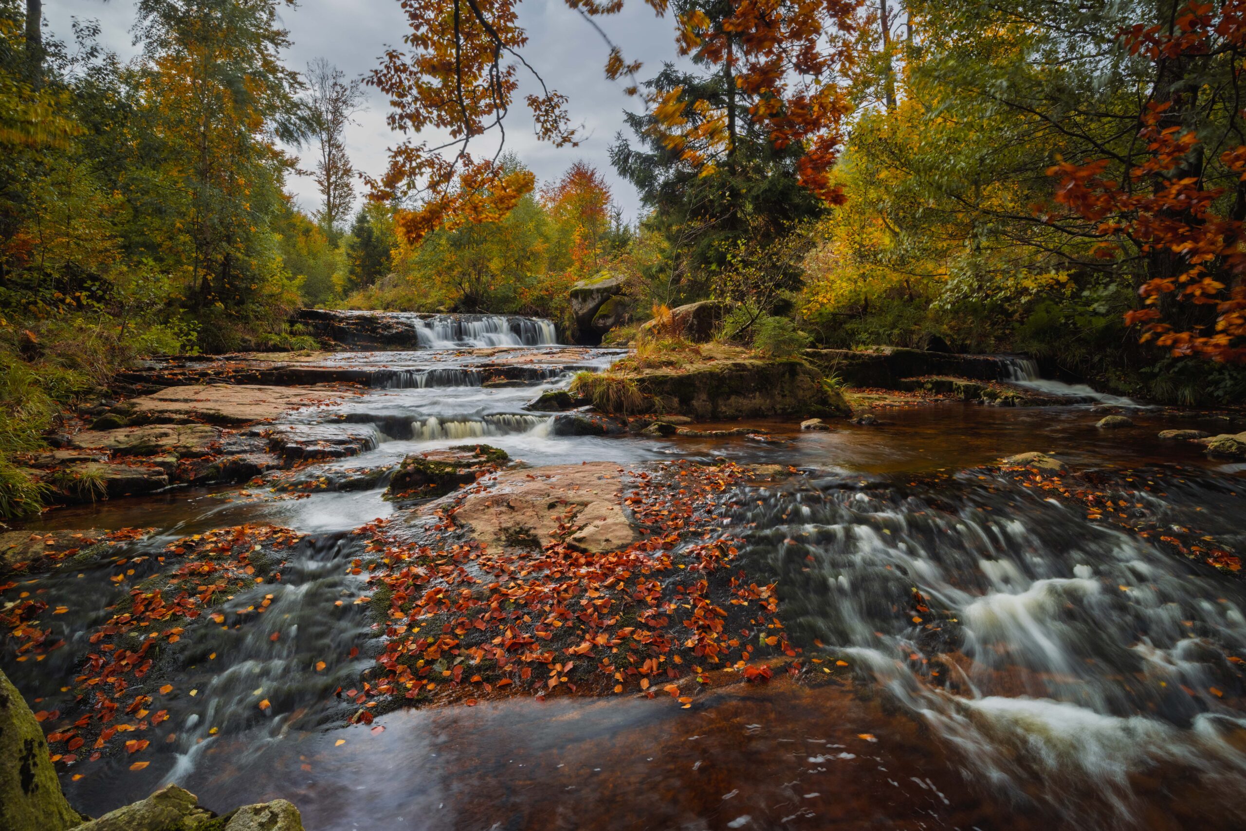 Harz – 18.10.2026: Wasserfälle im lsetal – Bild 6