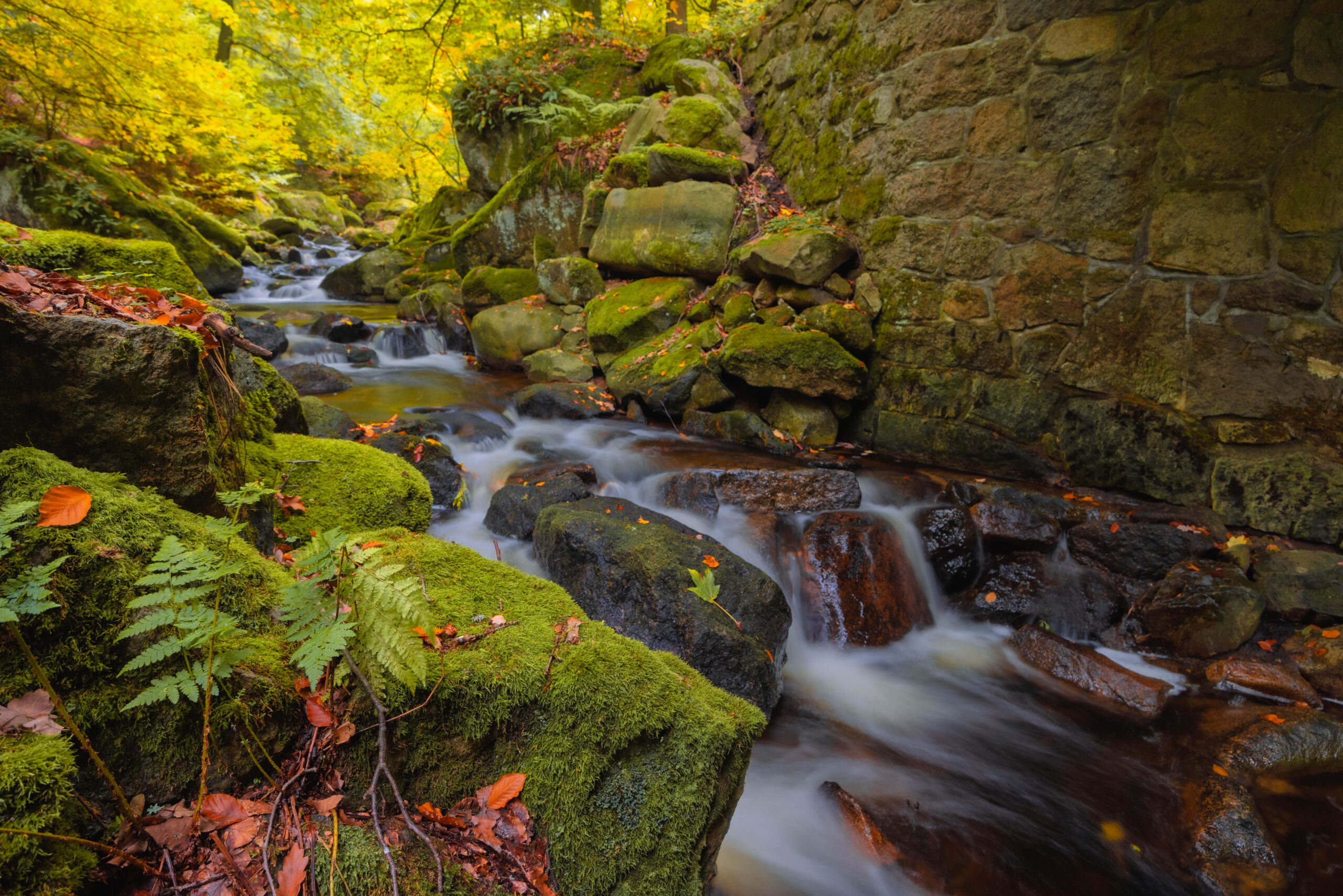 Harz – 18.10.2026: Wasserfälle im lsetal – Bild 4