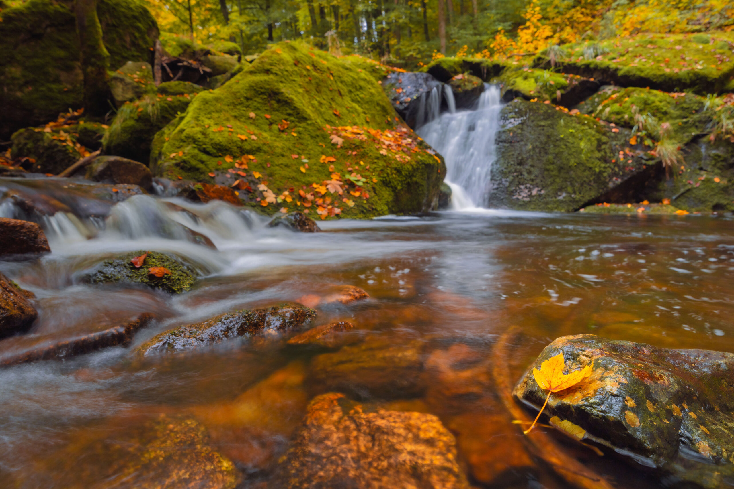 Harz – 18.10.2026: Wasserfälle im lsetal – Bild 3
