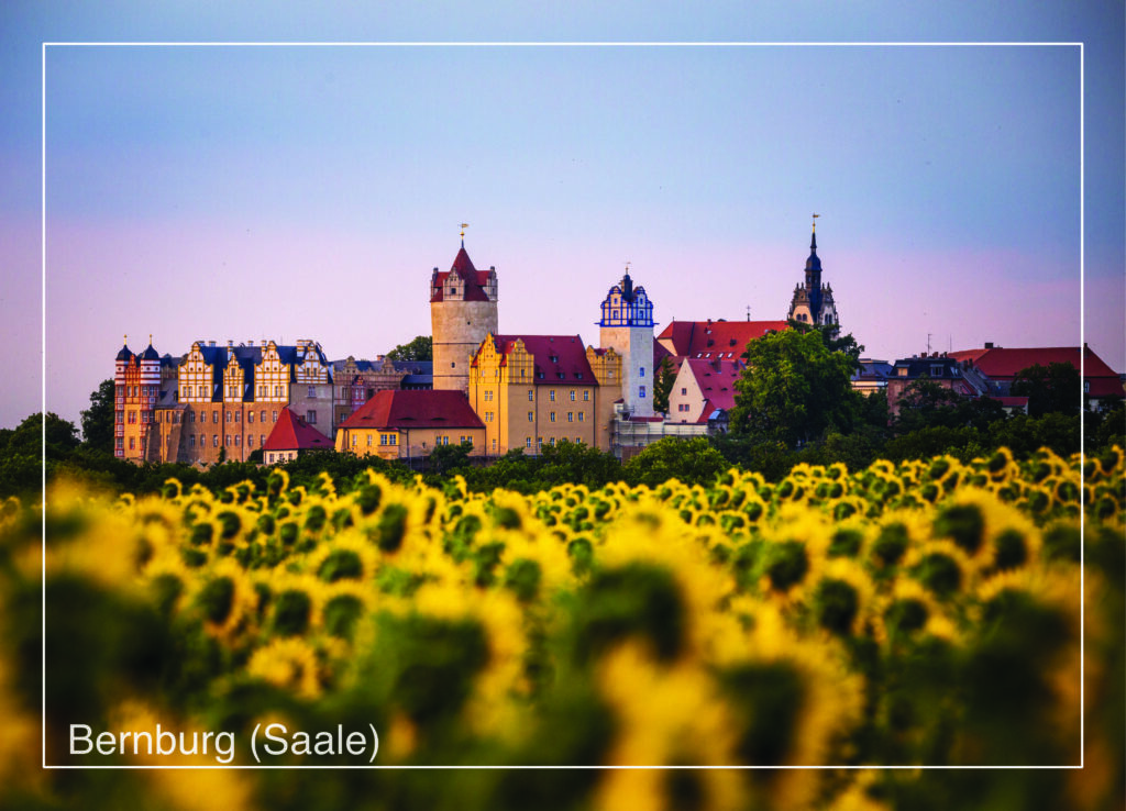 Postkarte Bernburg (Saale) | Motiv 09 Schloss Bernburg und Sonnenblumen