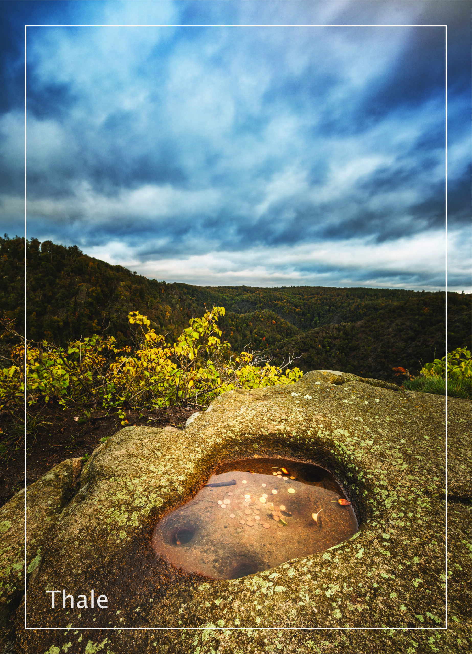 Postkarte Harz | Motiv 29 Roßtrappe