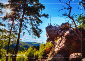 Postkarte Harz | Motiv 33 Großvaterfelsen