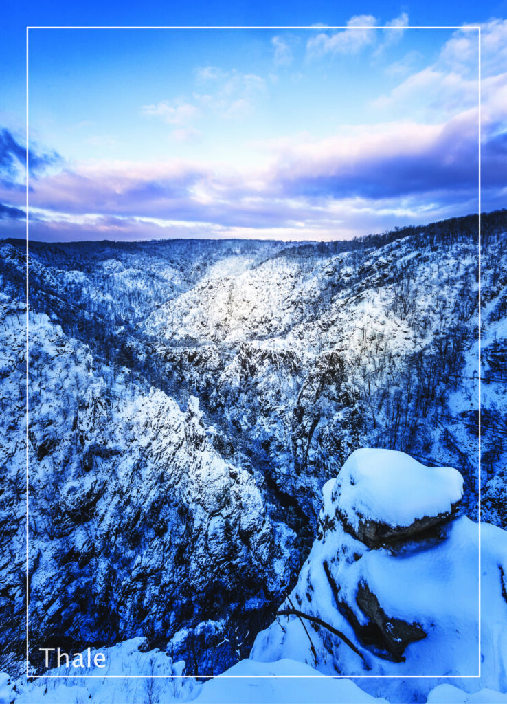 Postkarte Harz | Motiv 37 winterliches Bodetal
