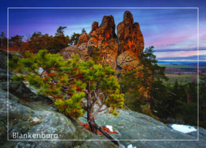 Postkarte Harz | Motiv 09 Hamburger Wappen